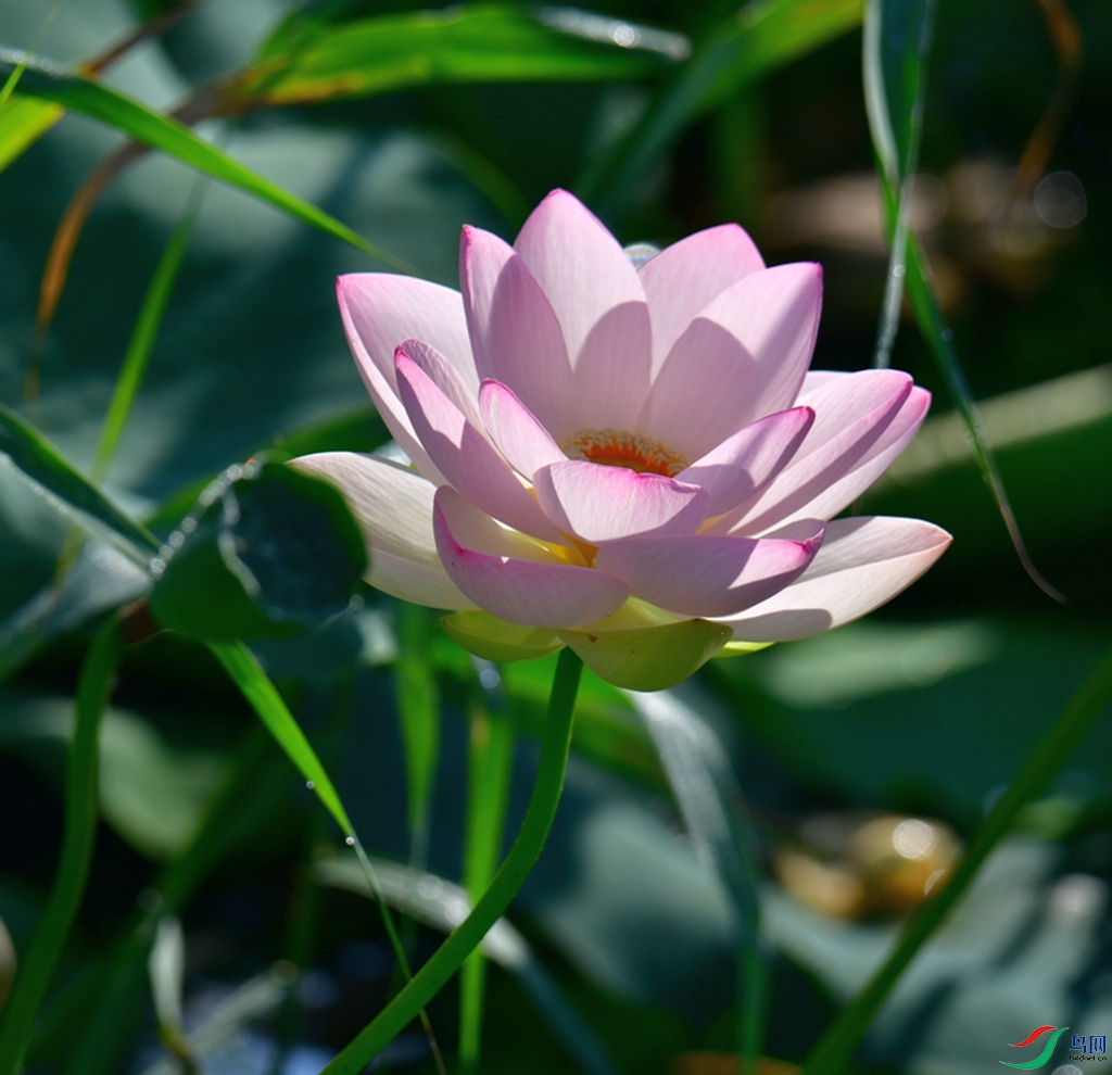 DSC_4117.JPG