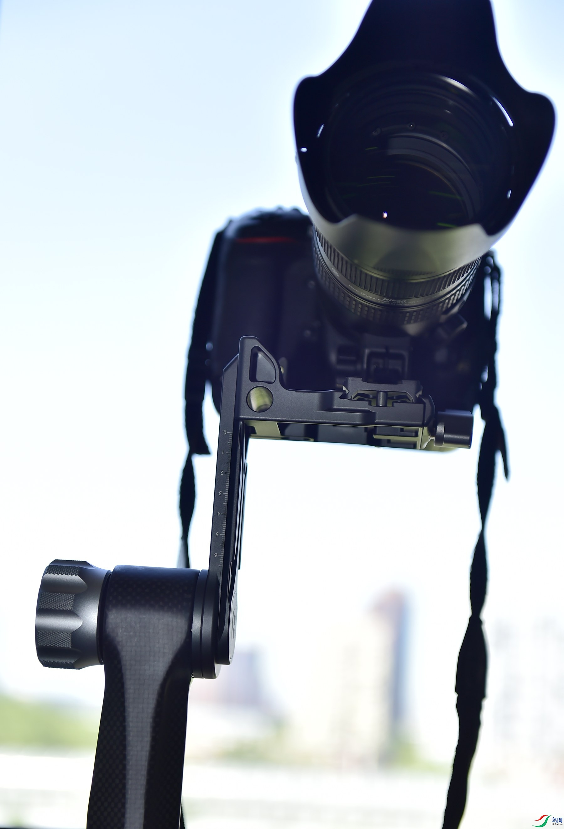 δ����_����2907.jpg