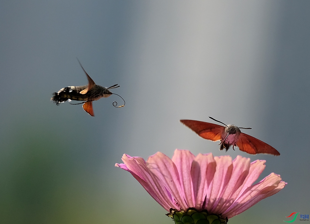 DSCF6873.JPG