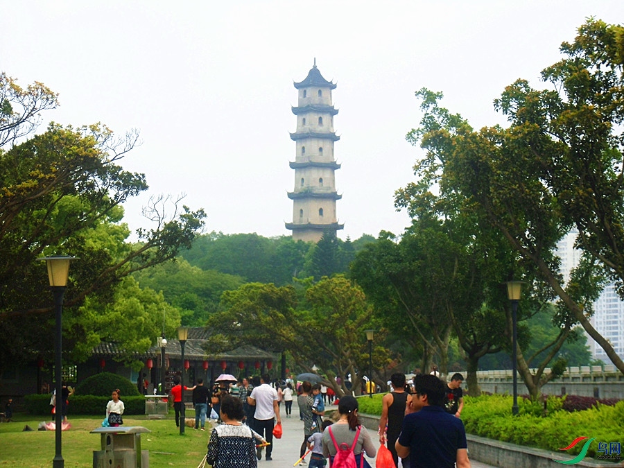 CIMG2601.JPG