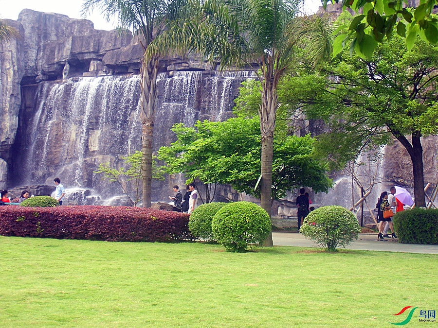 CIMG2609.JPG