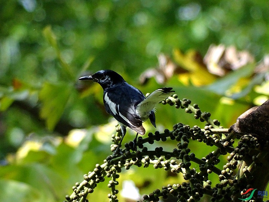 DSC02305.JPG