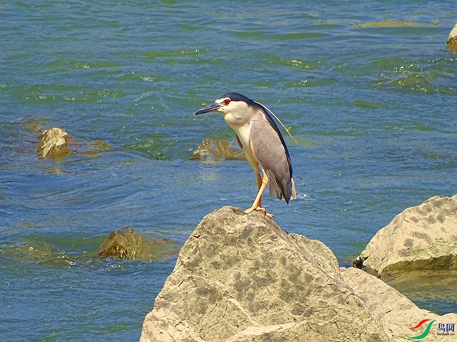 DSC02325.JPG