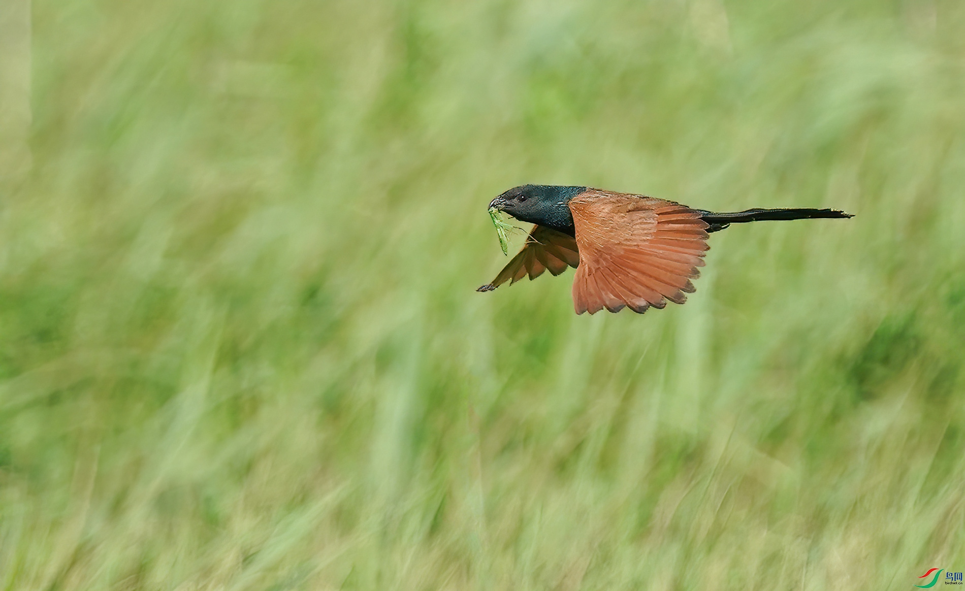 DSC02236ab_����.jpg