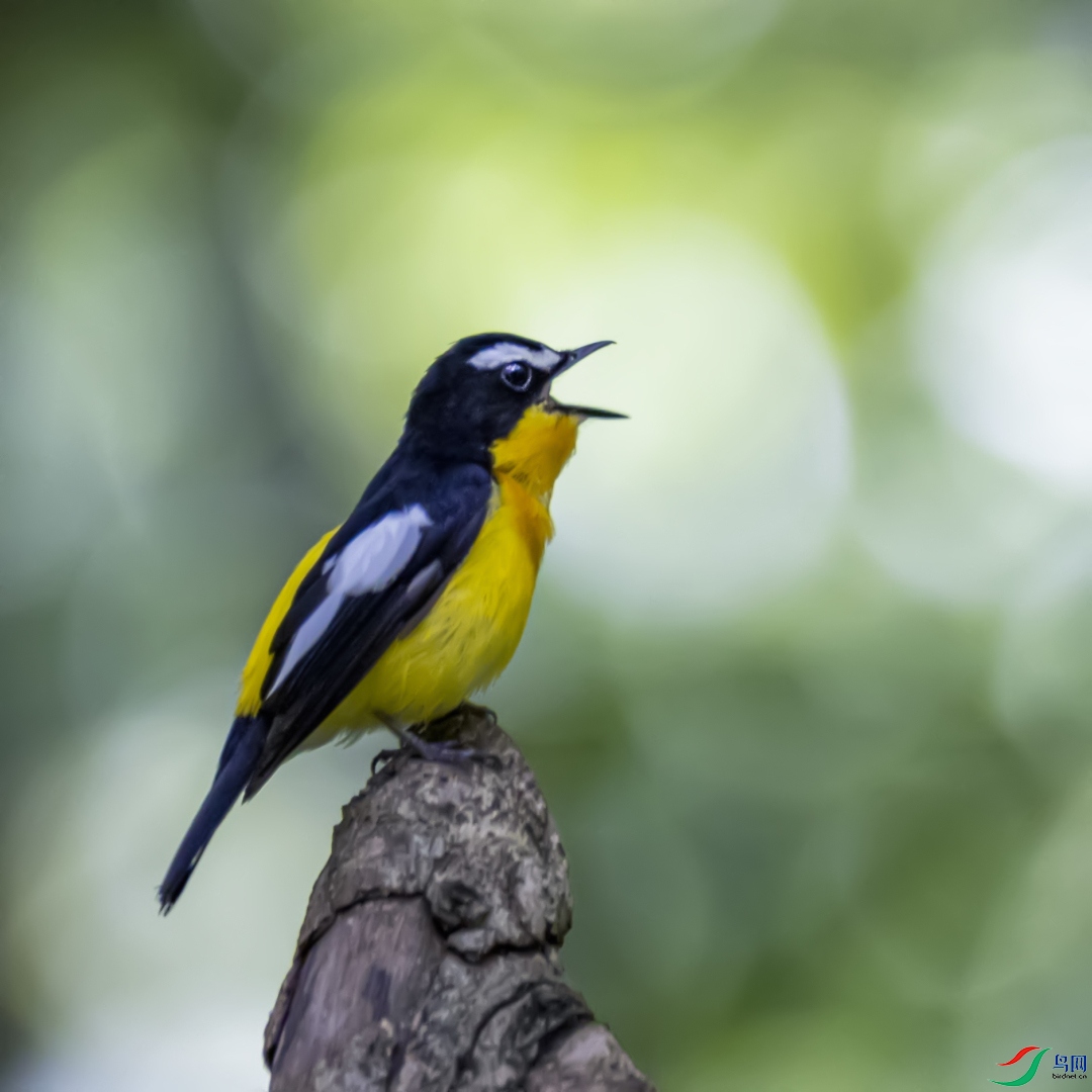 ŭ��    ��ü���l