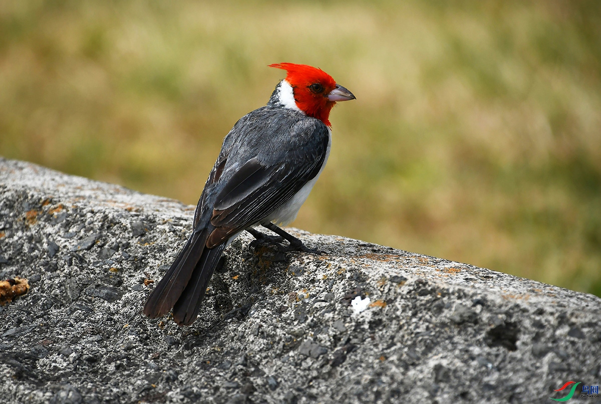 DSC_8306.JPG