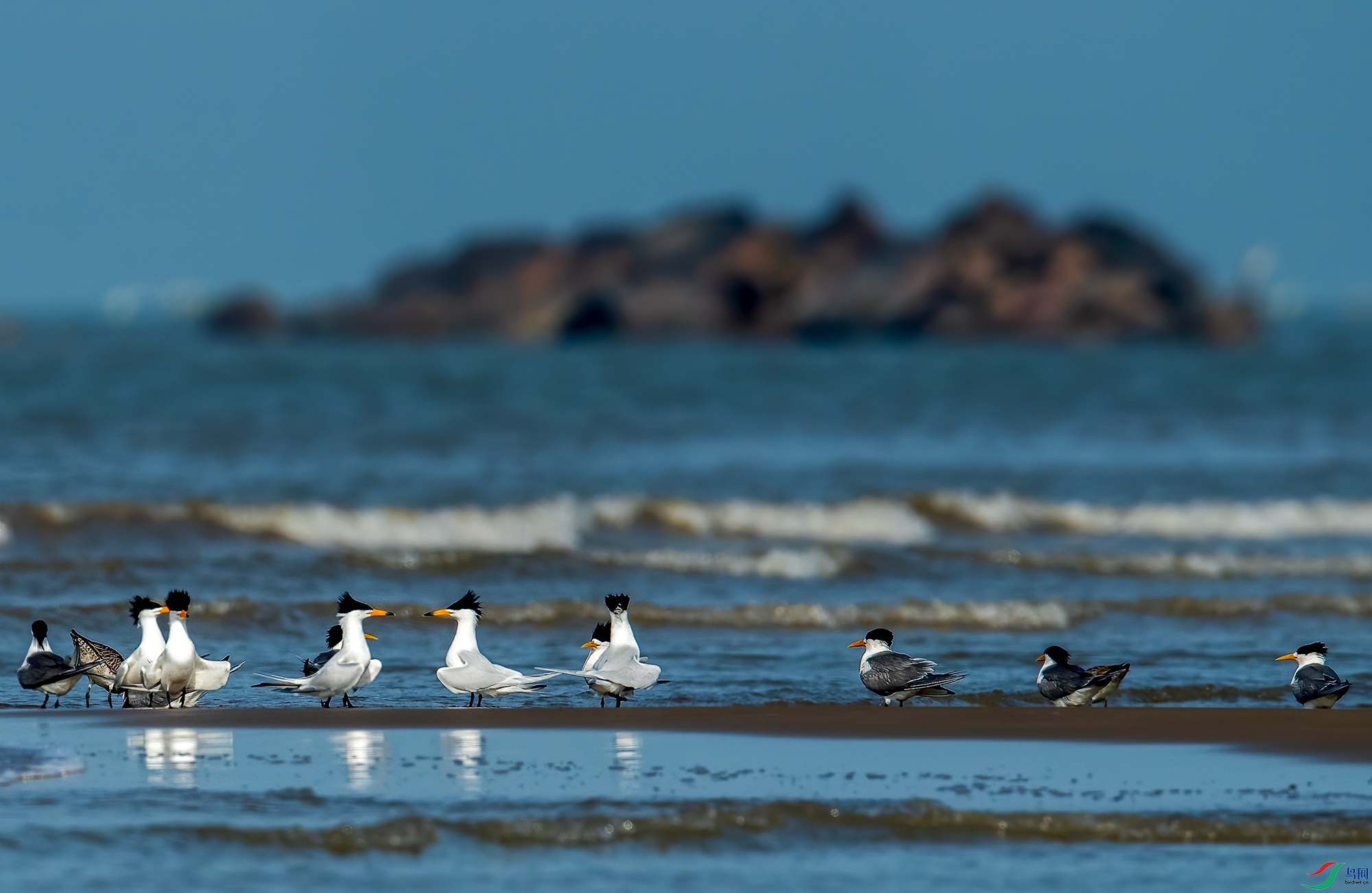 DSC_3686 w.jpg