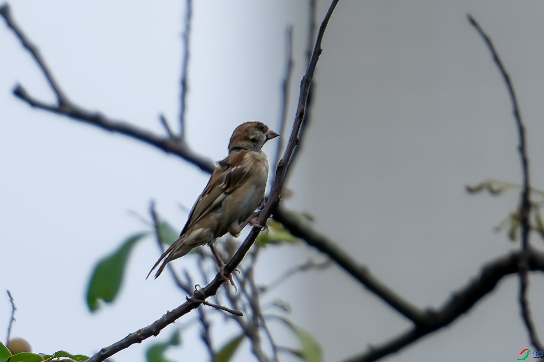 DSC00184-ARW_DxO_DeepPRIME-1.jpg