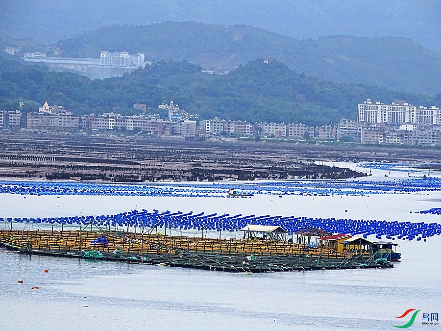 DSC02234.JPG