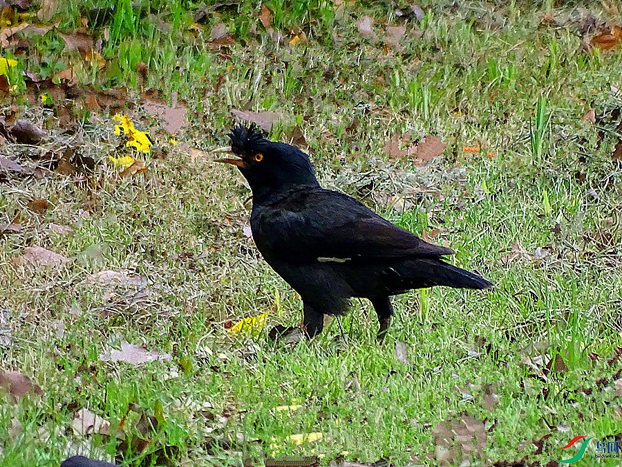 DSC02356.JPG