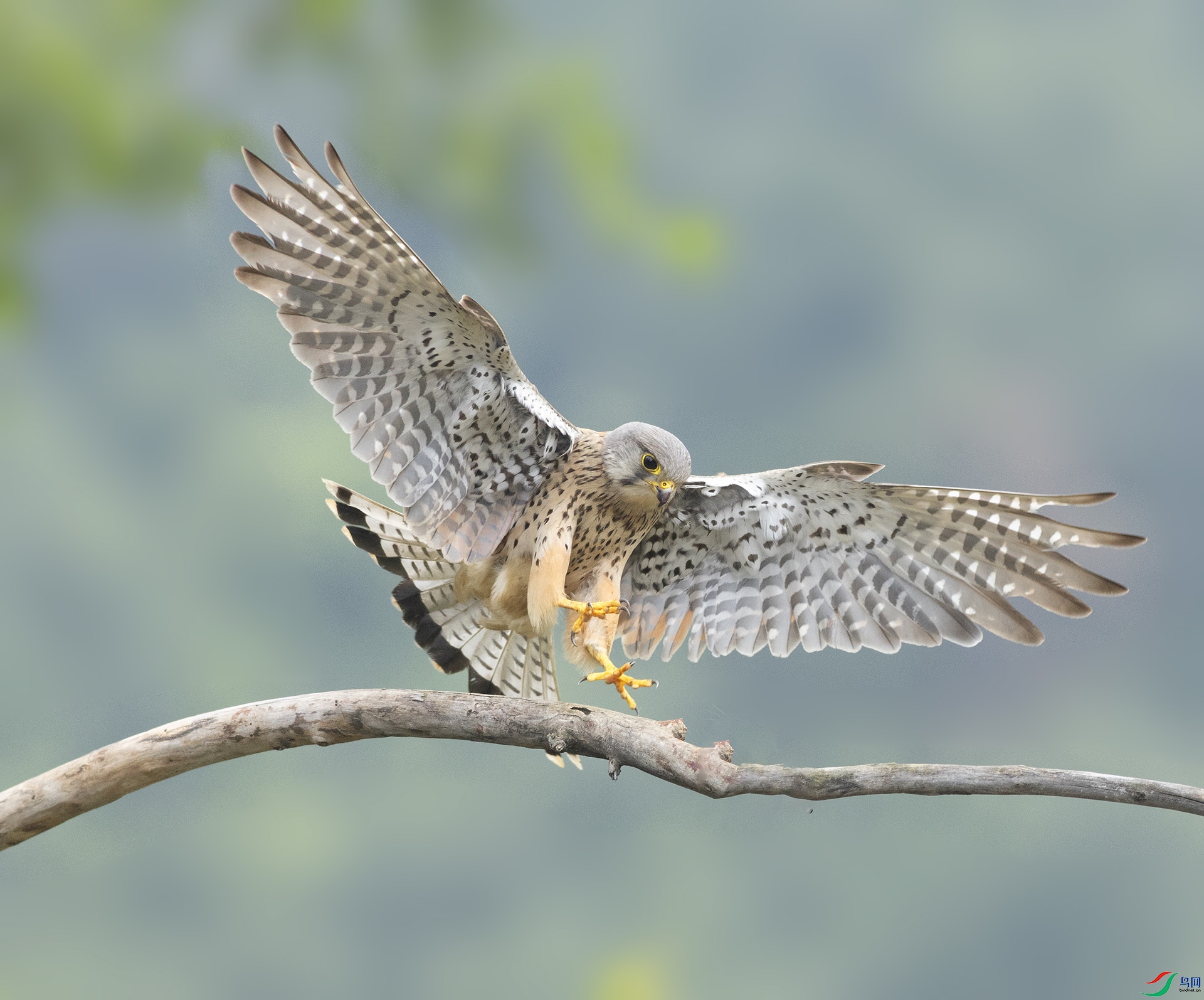 019A8901 ����.jpg