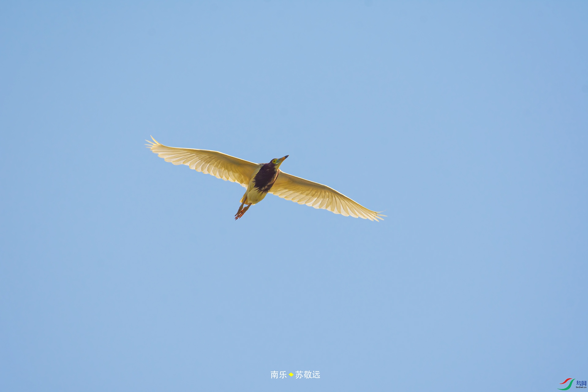 _DSC5018С.jpg