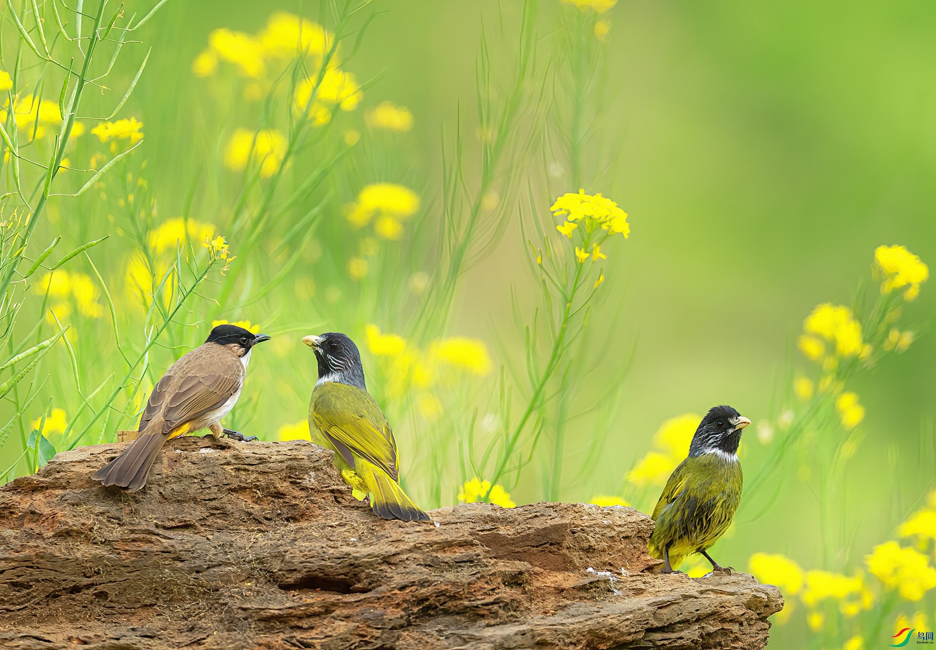 DSC_8240 ���� 2.jpg