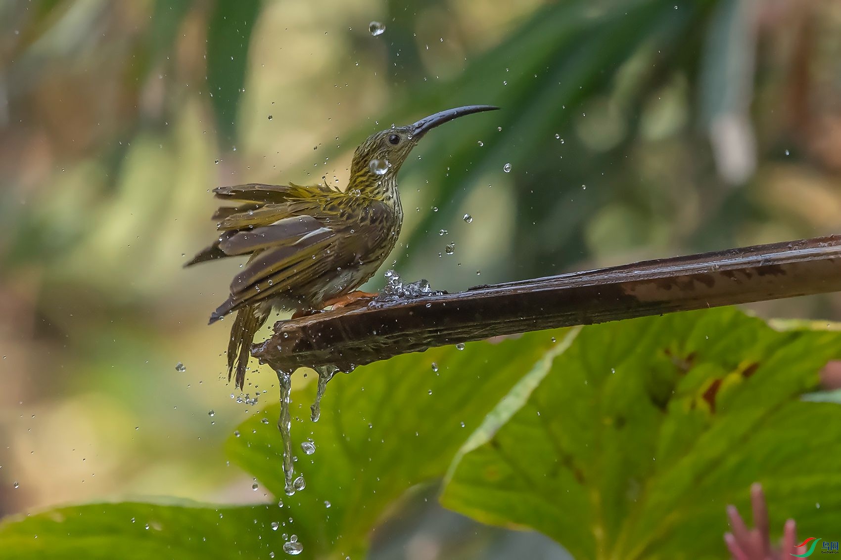 DSC_8635.jpg