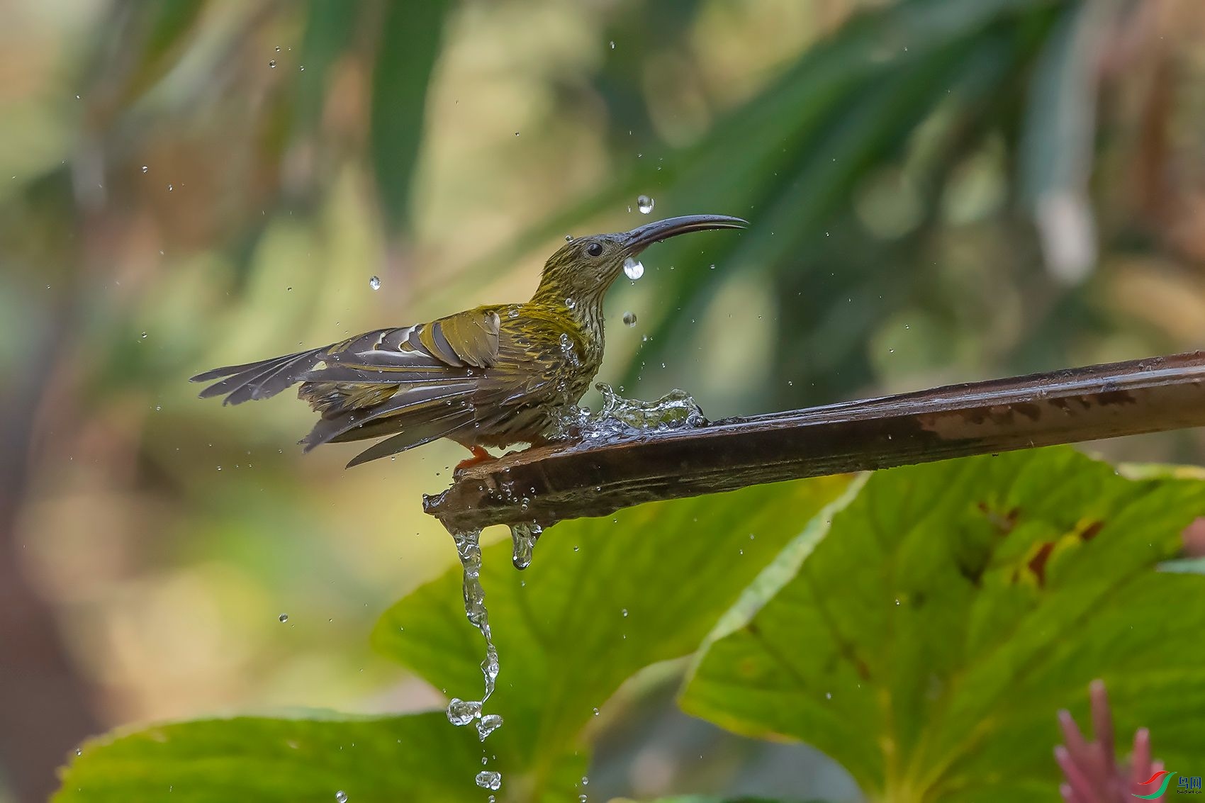 DSC_8661.jpg