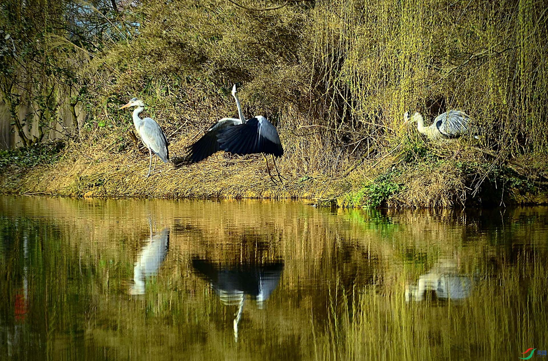 _DSC9625.jpg