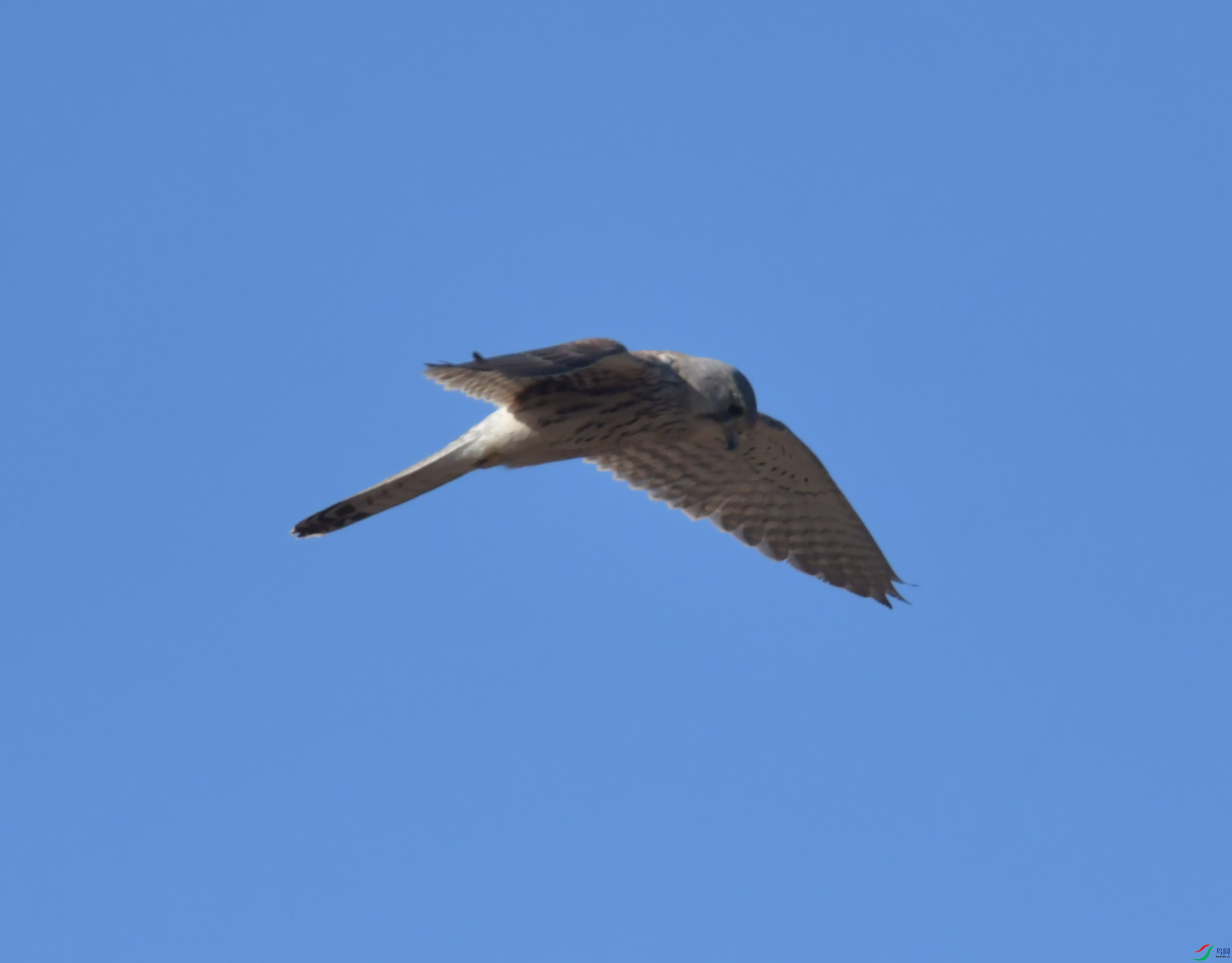 DSC_8643.JPG