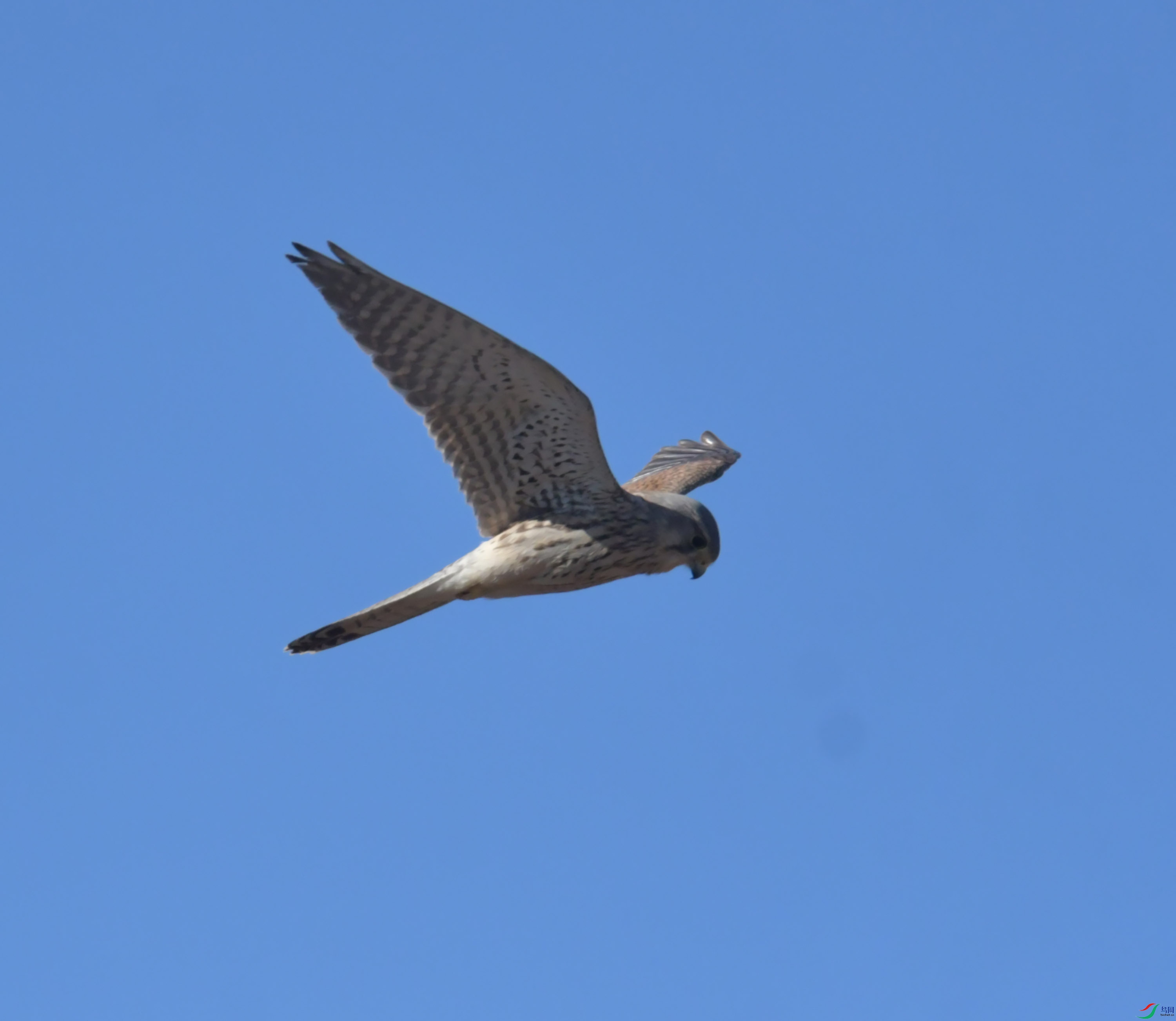 DSC_8644.JPG