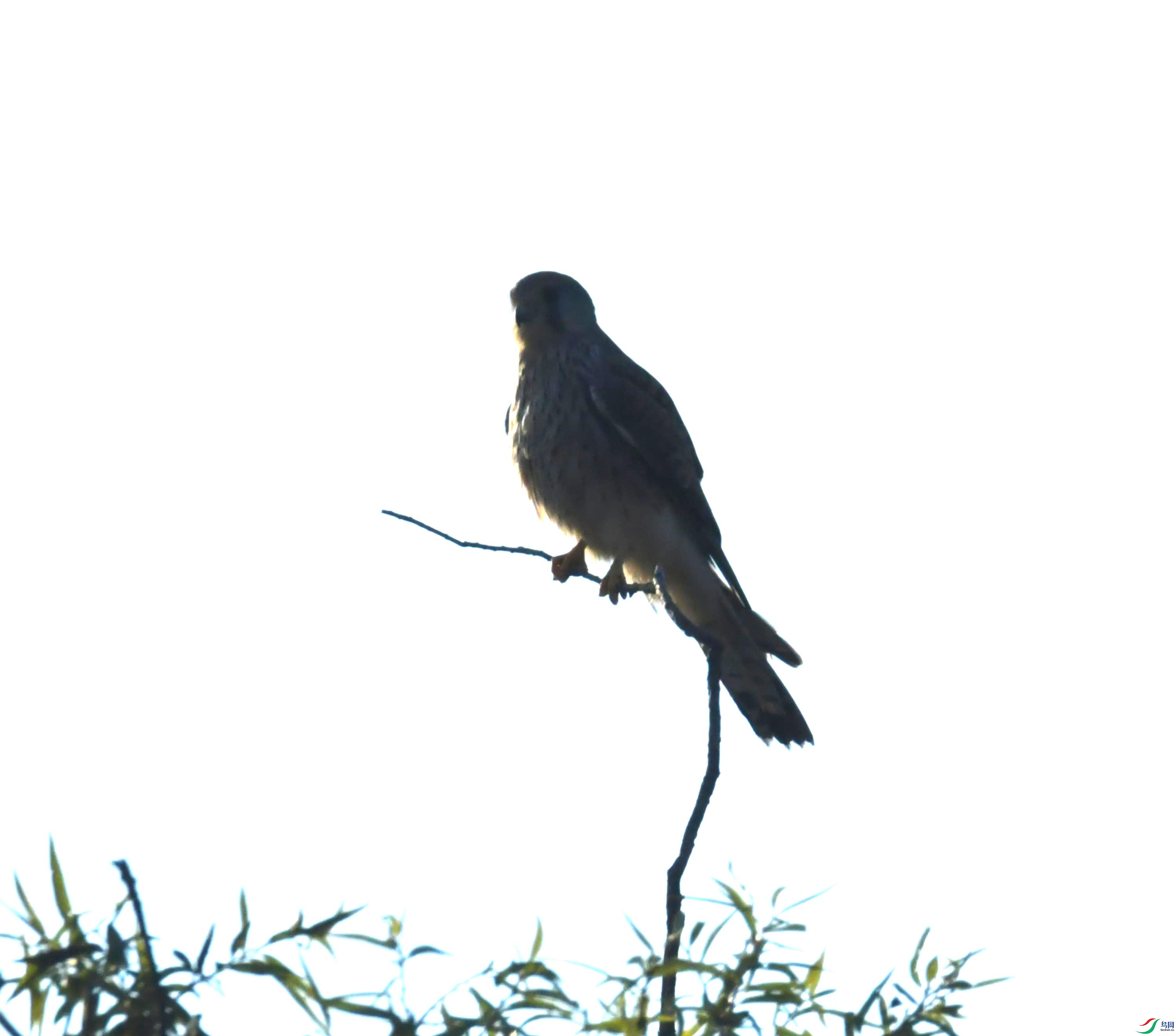 DSC_8657.JPG