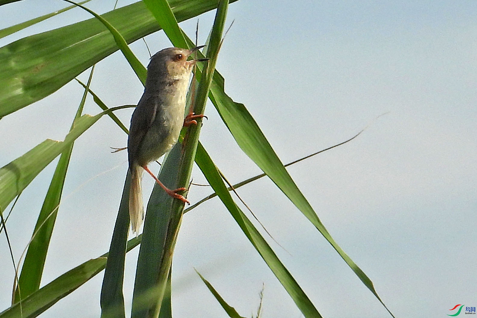 DSCN2314.JPG