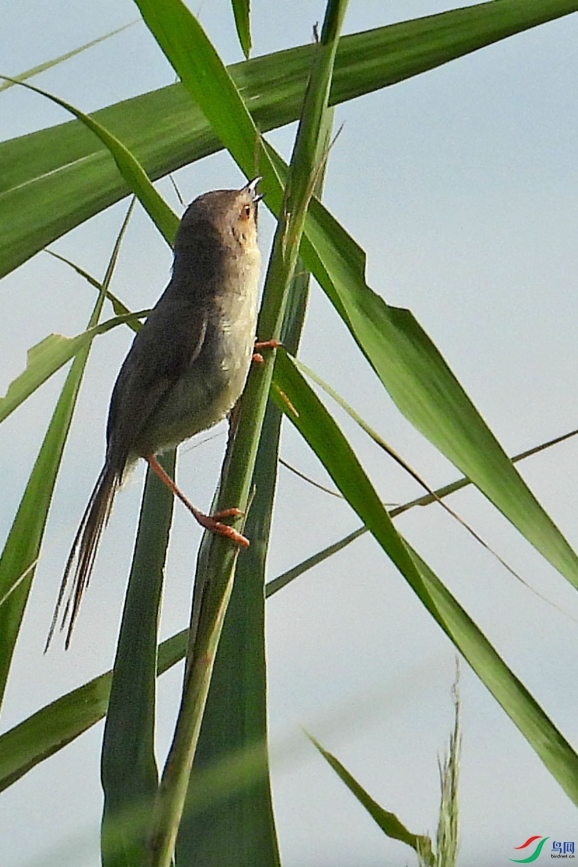 DSCN2315.JPG