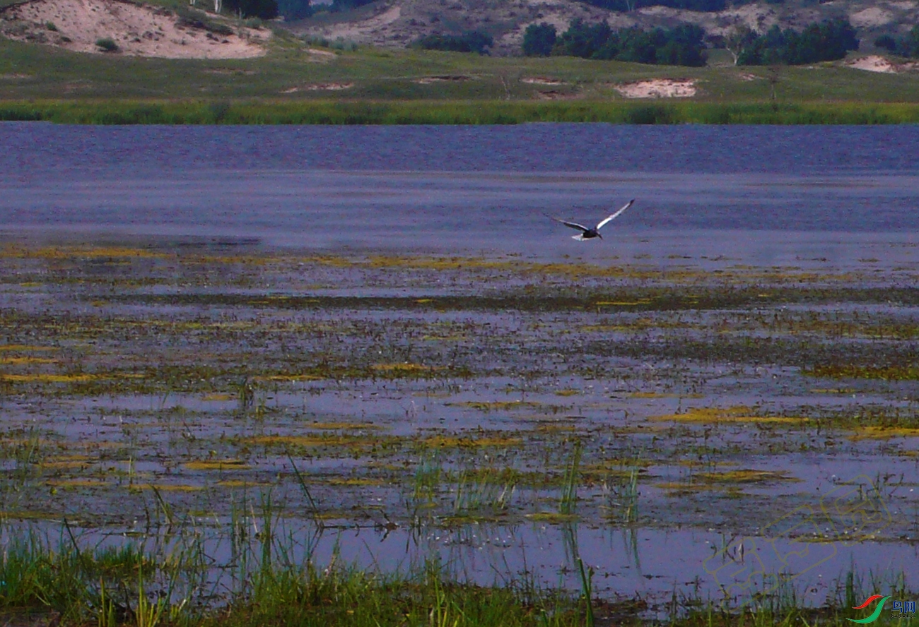 P1060558_.jpg