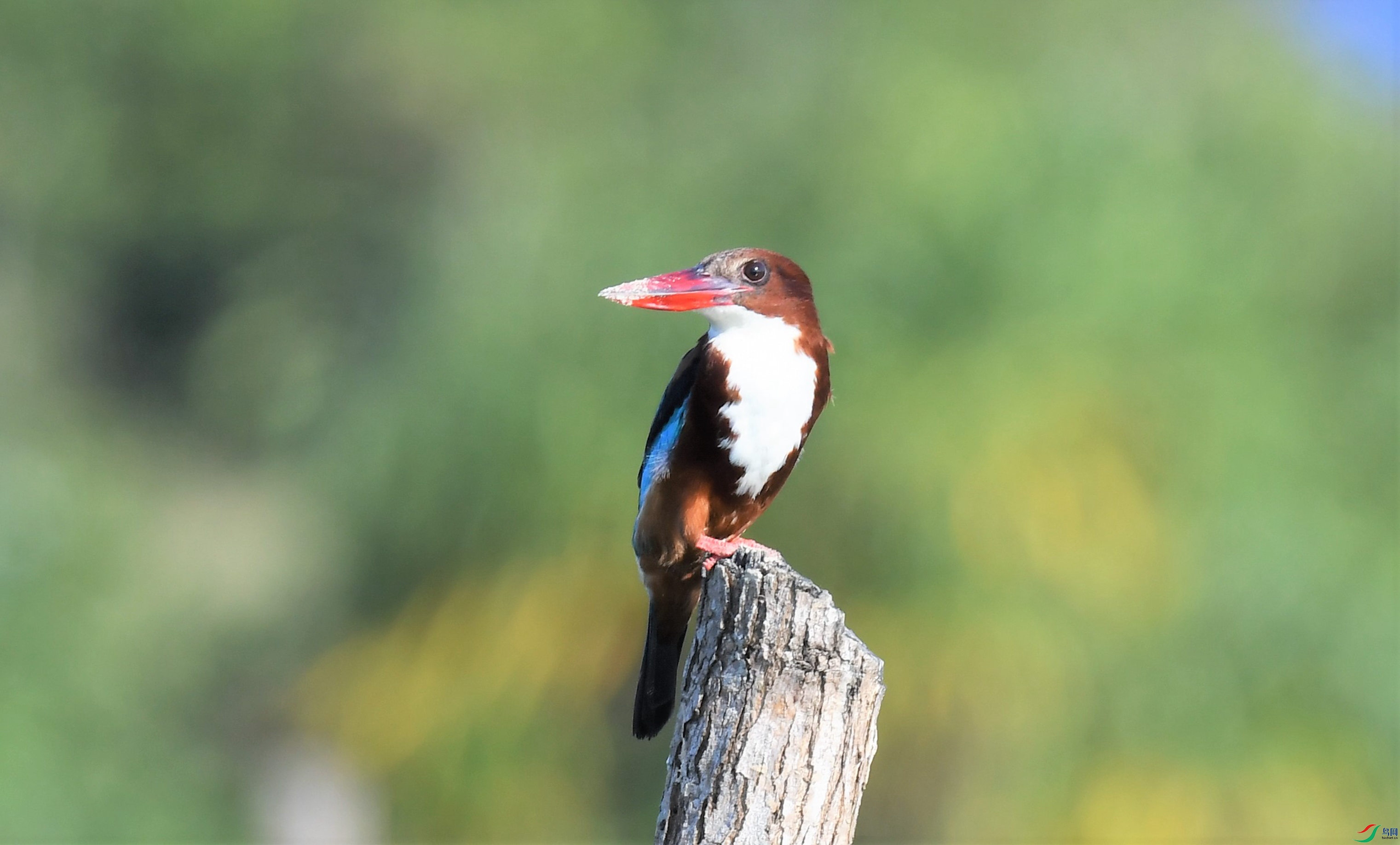 ������� (3).JPG