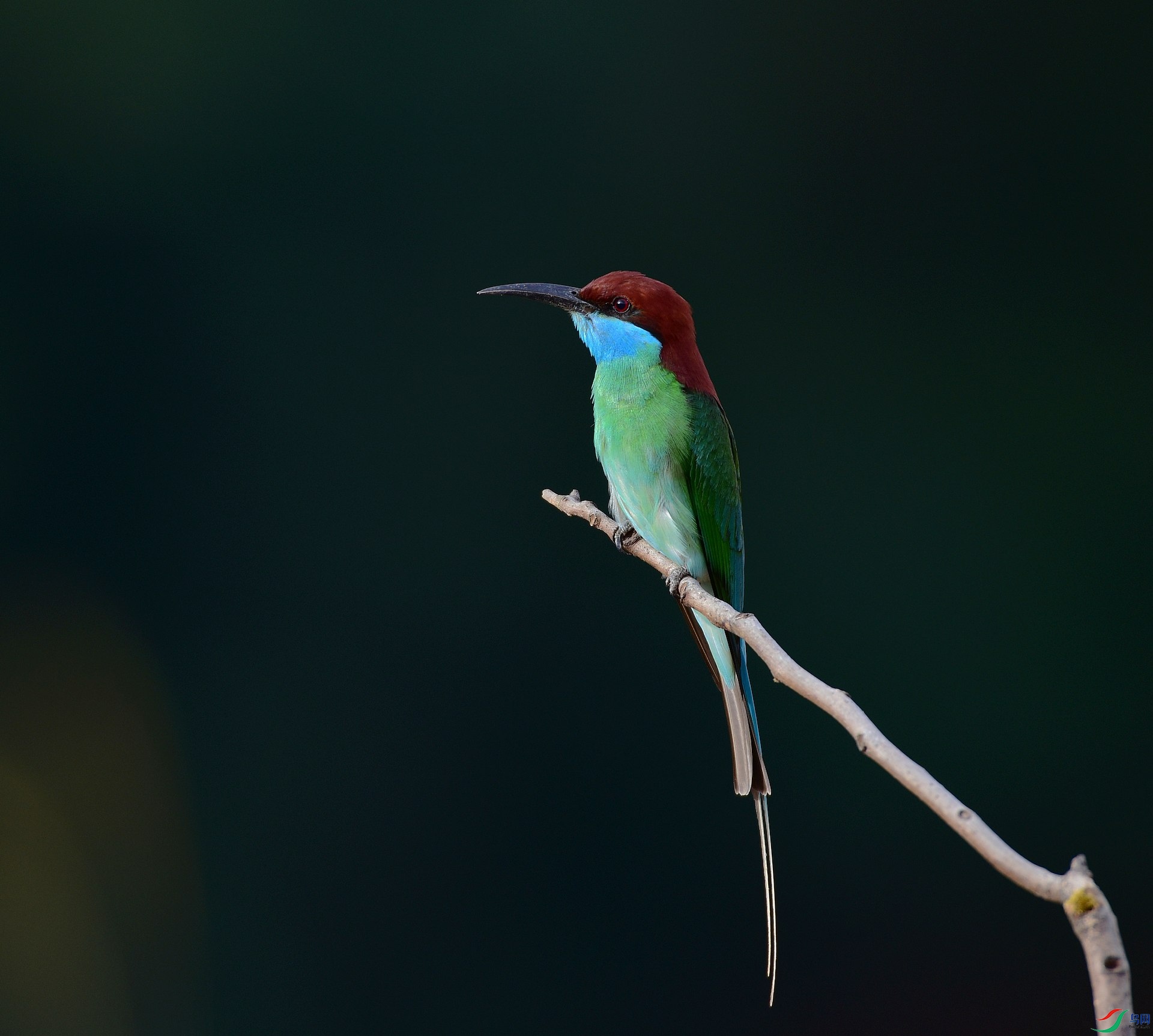 D8I_0177.jpg