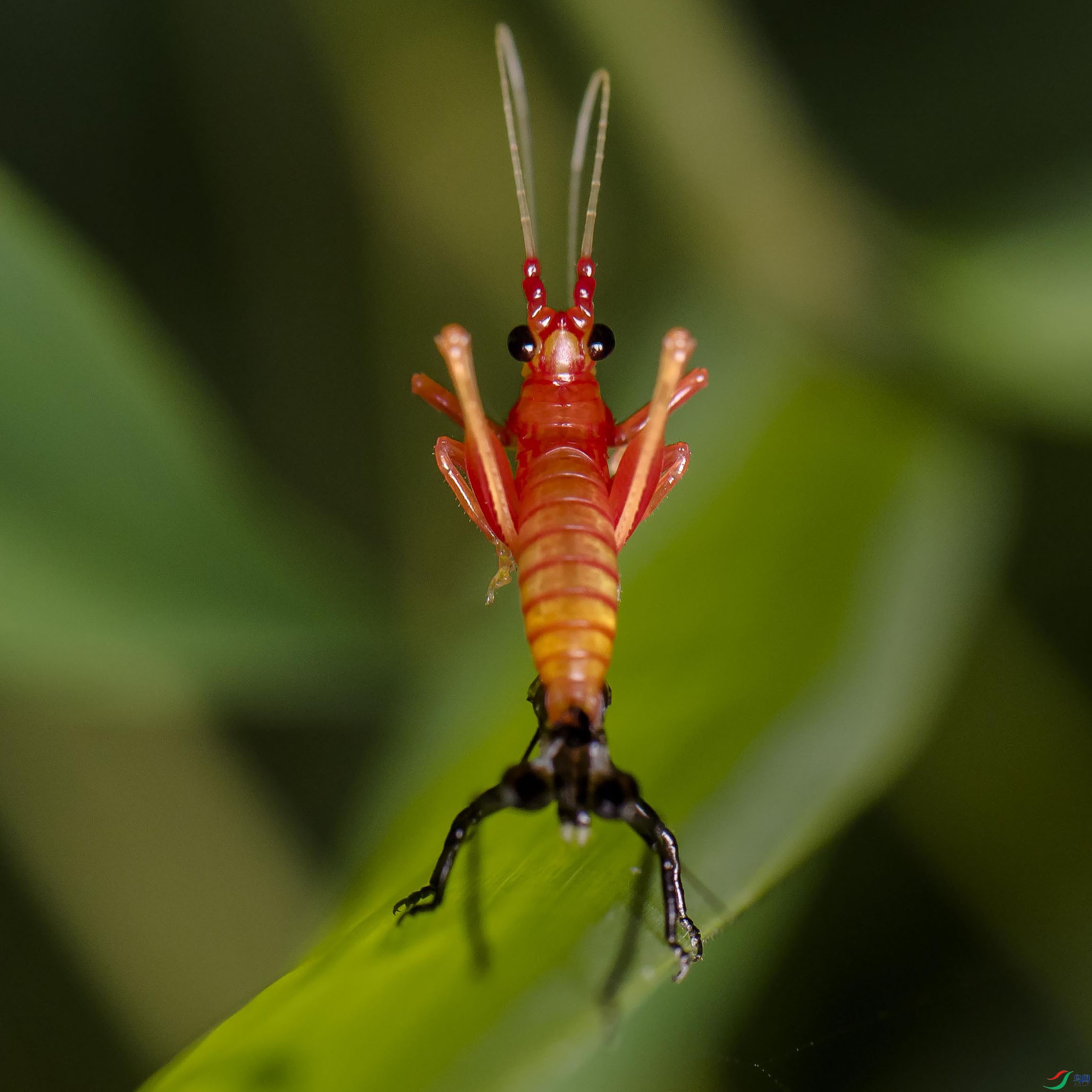 DSC_4271.jpg