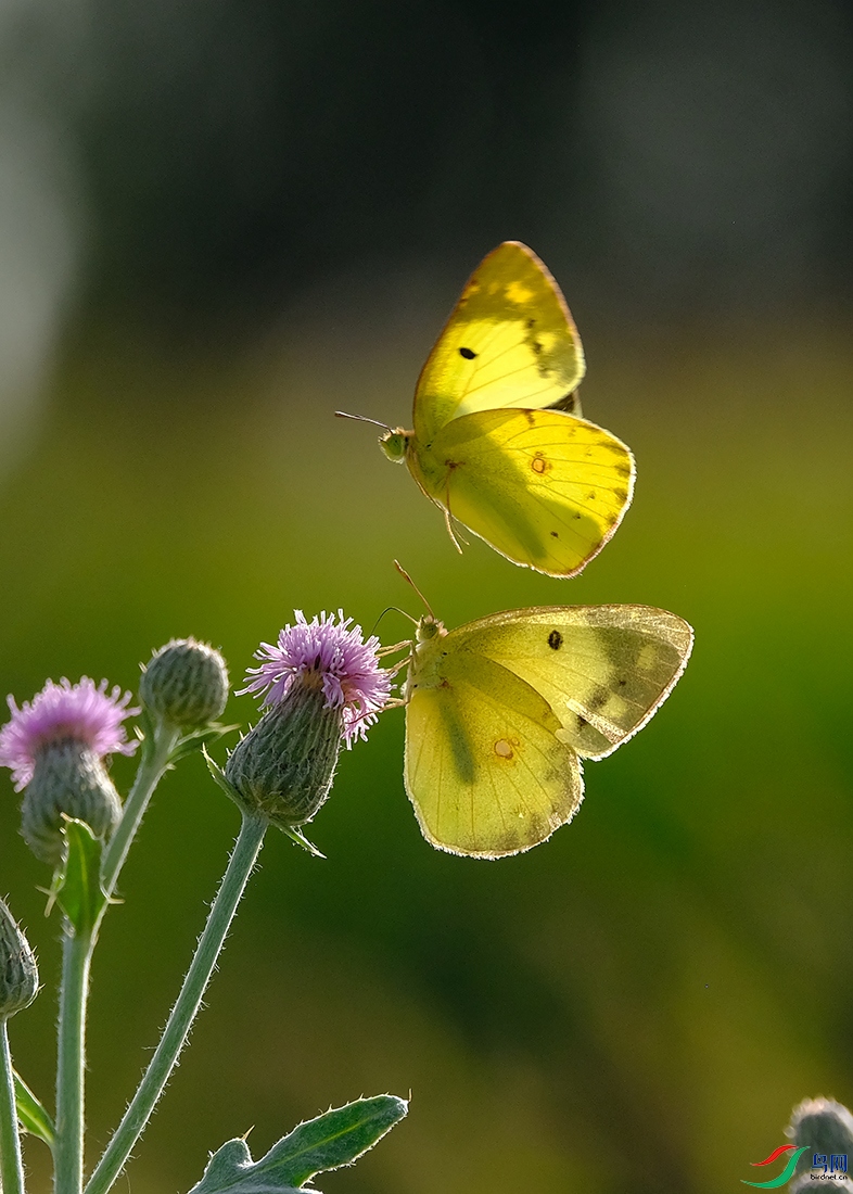 DSCF6906.JPG