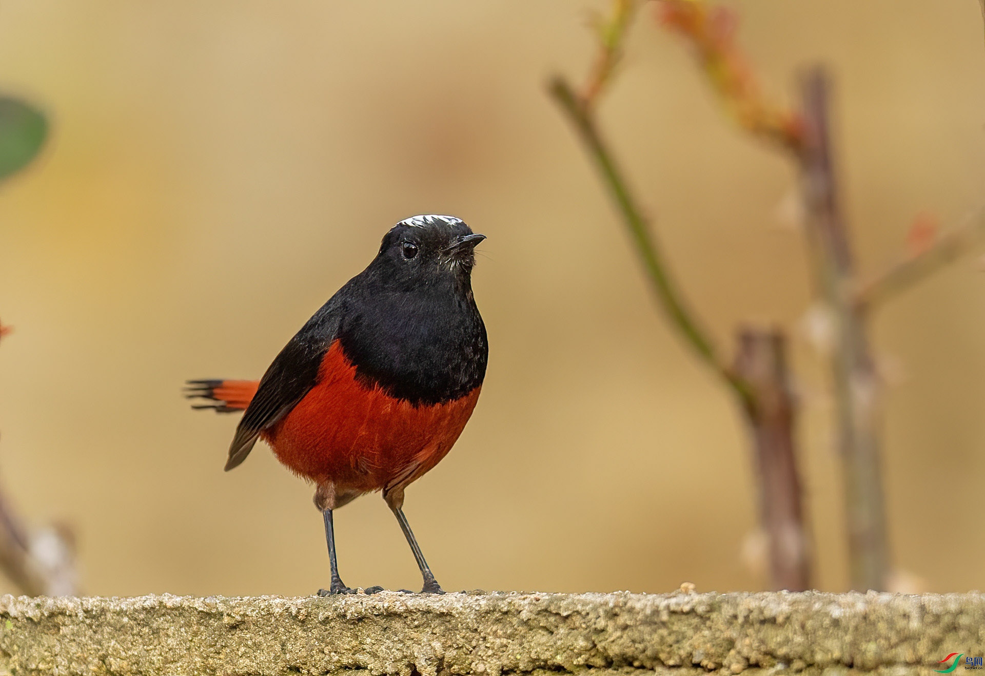 DSC_8716 ����.jpg