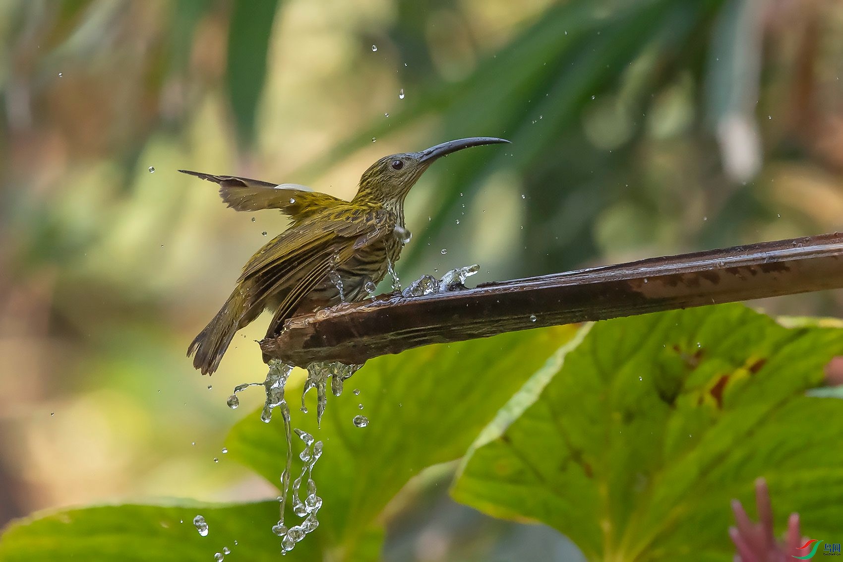 DSC_8666.jpg