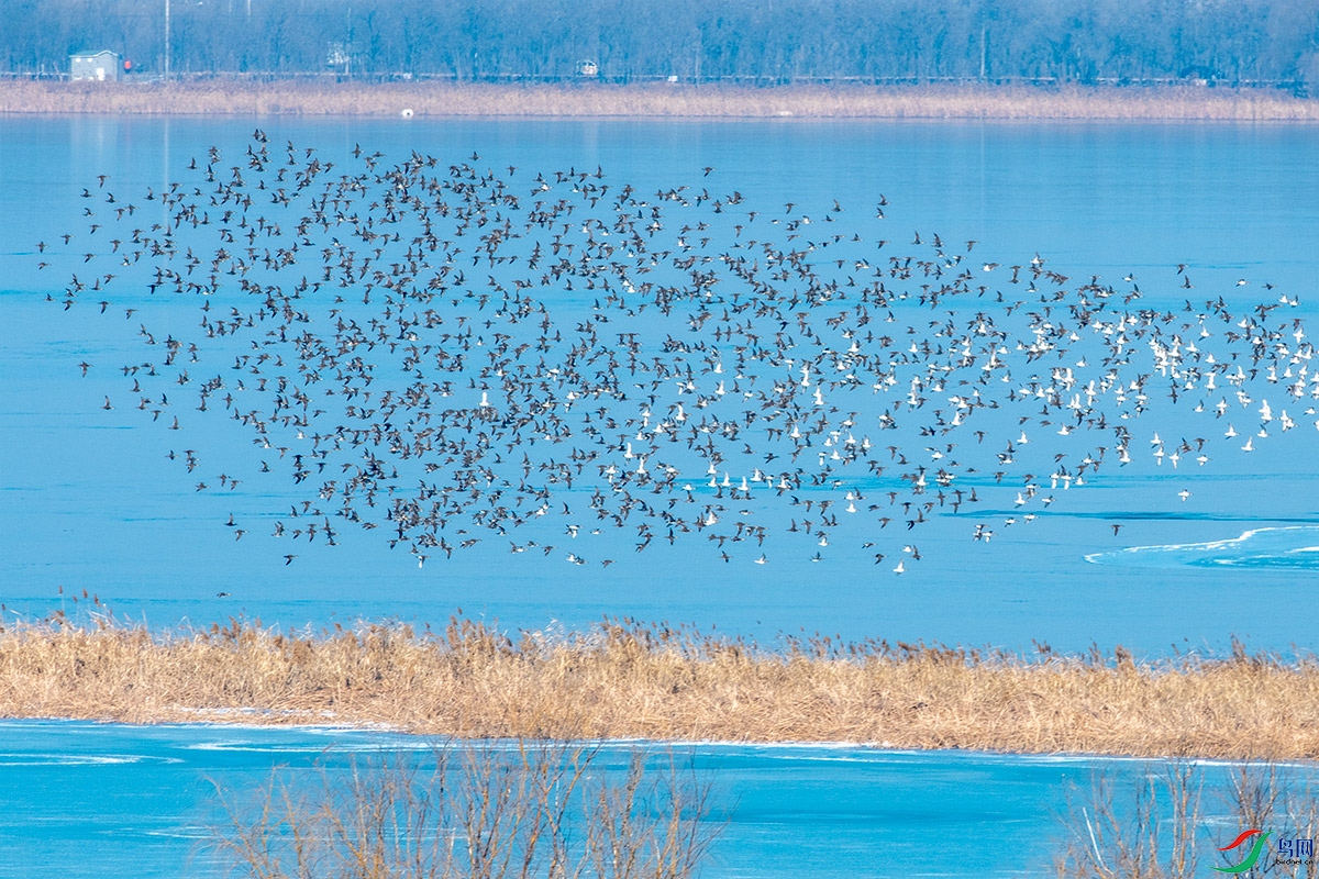 DSC_7283.jpg