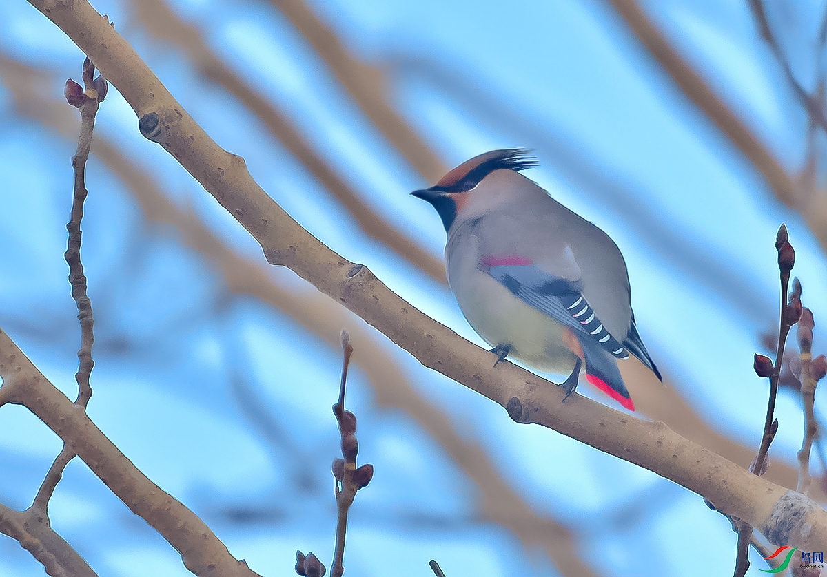 DSC_5678.JPG