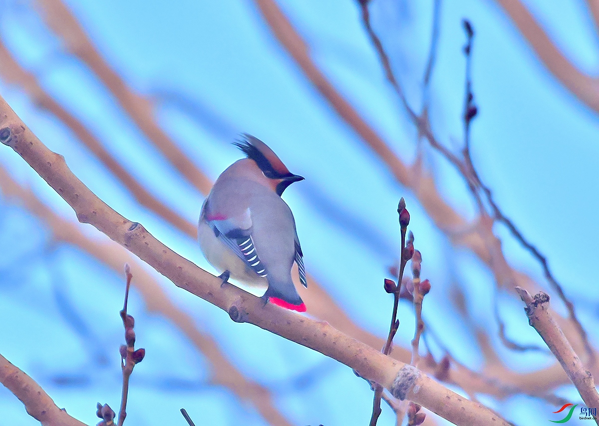 DSC_5671.JPG