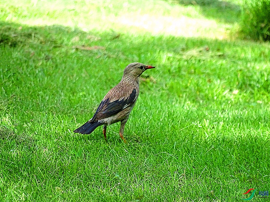 DSC02292.JPG