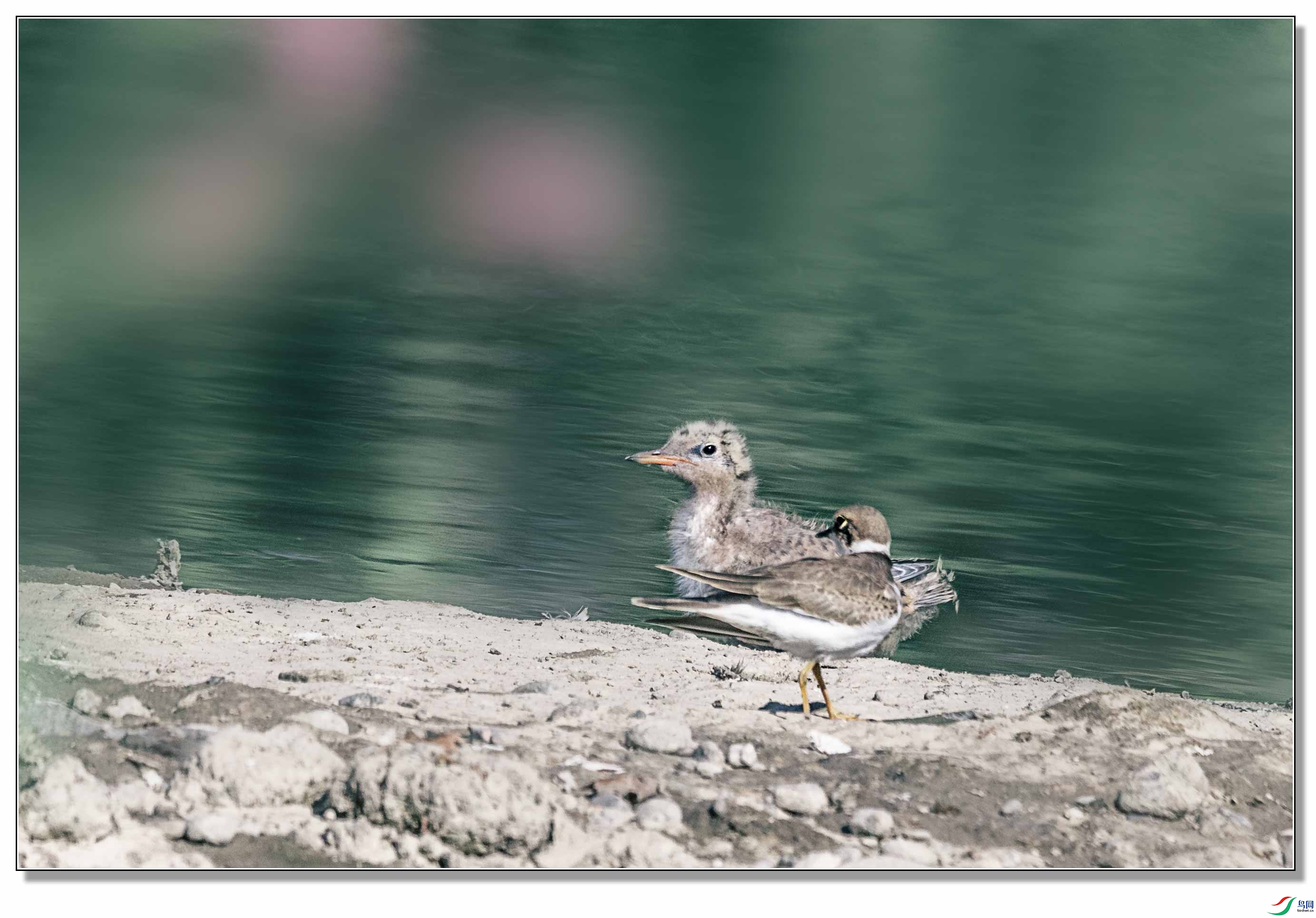 278A4865.jpg