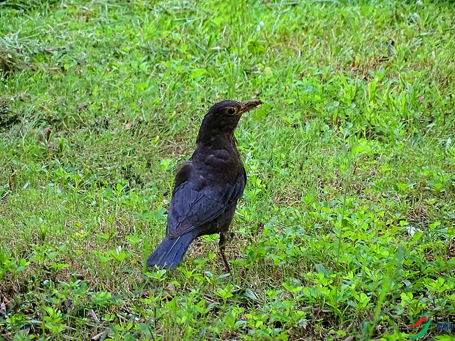 DSC02300.JPG