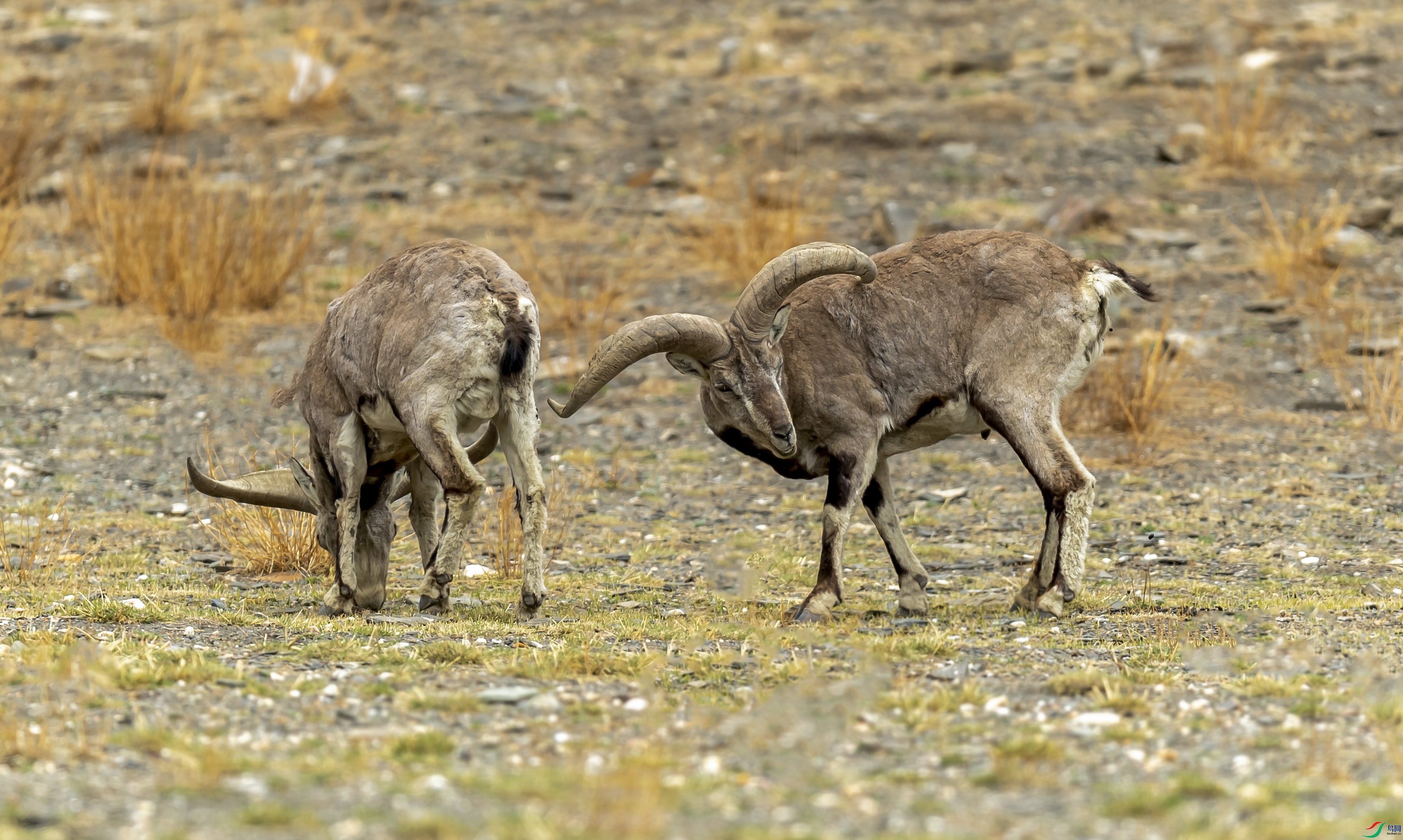 _DSC9432.jpgps5.jpg����.jpg
