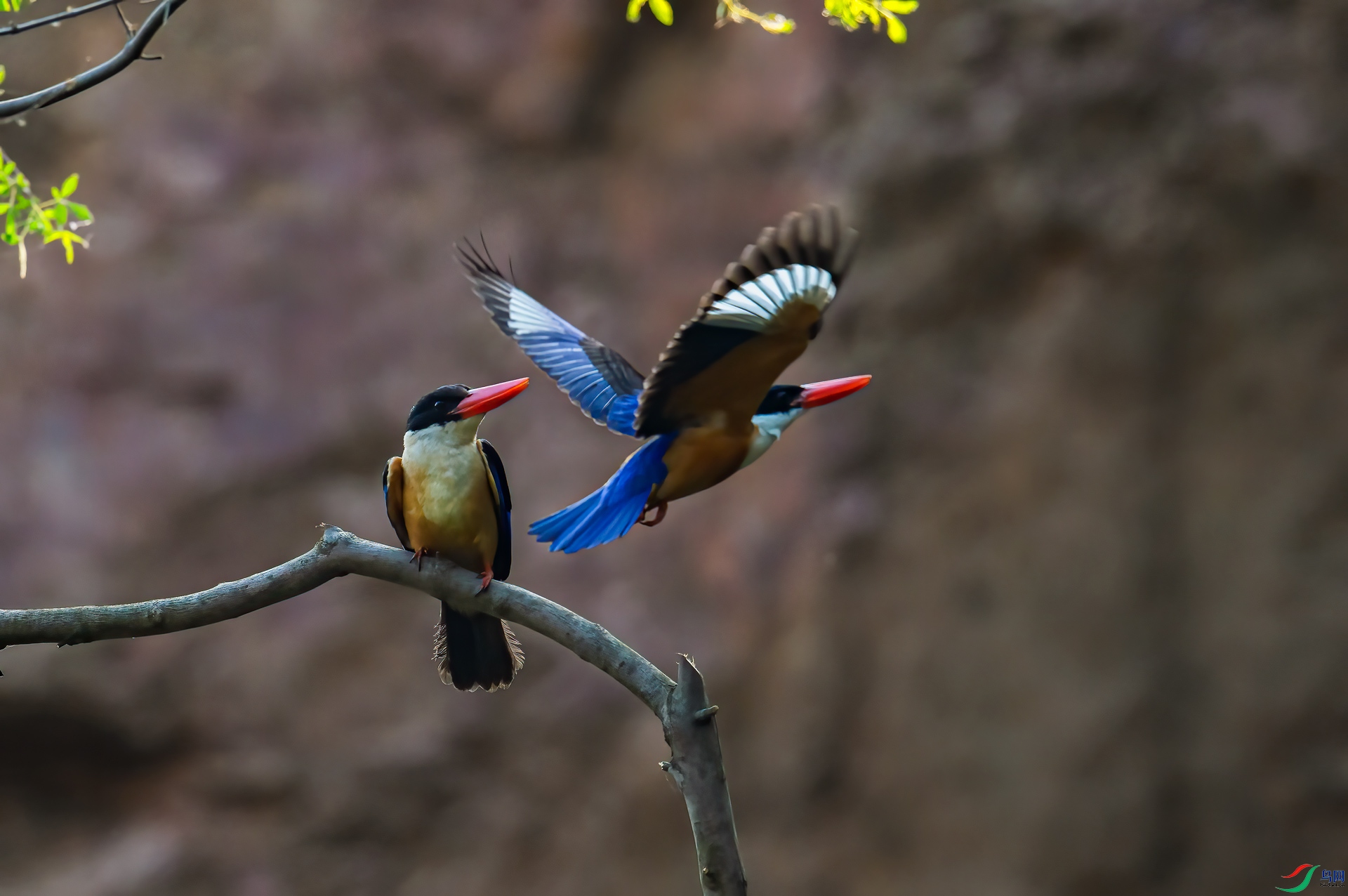 DSC_6907.jpg