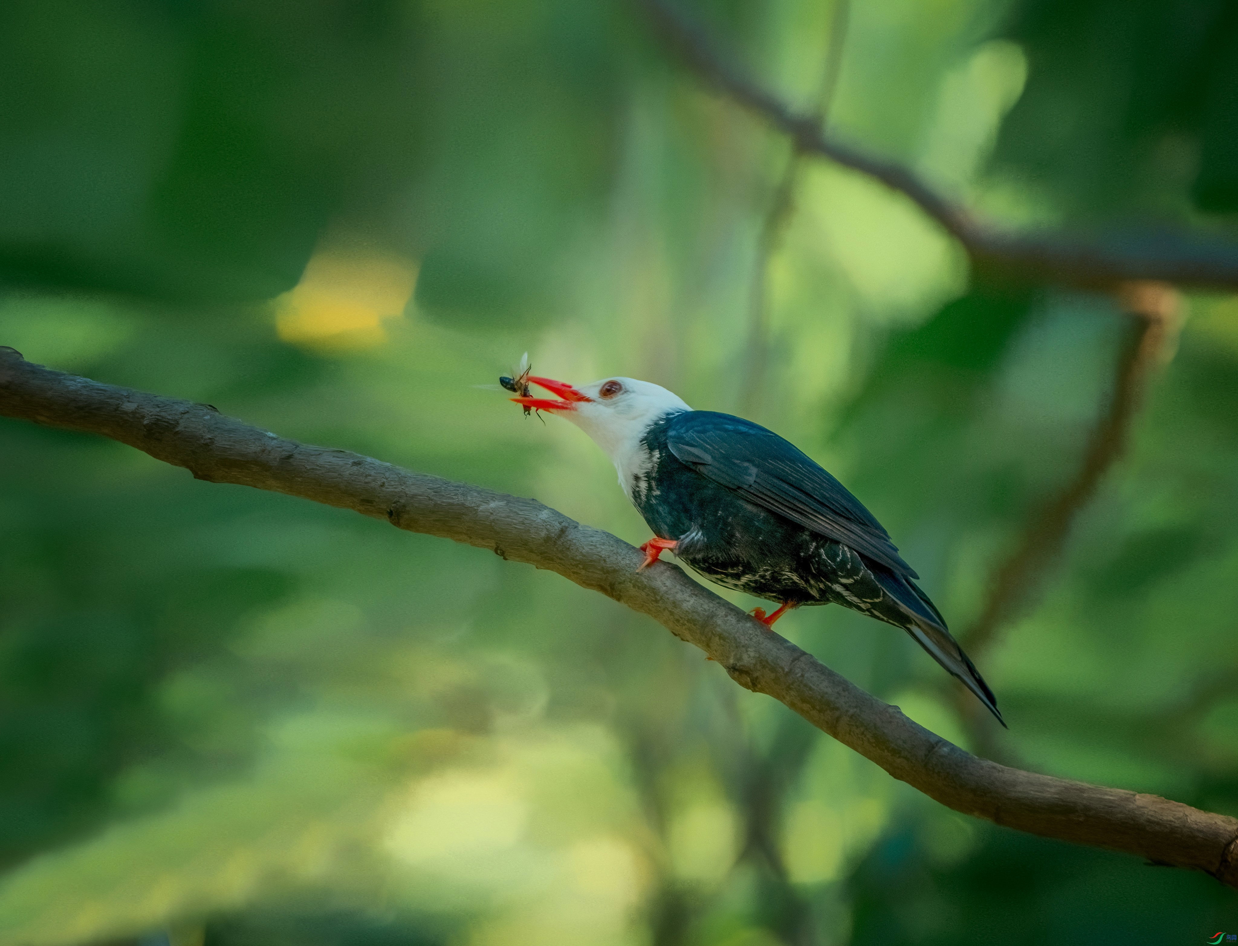 DSC04111(1)_polarr.jpg