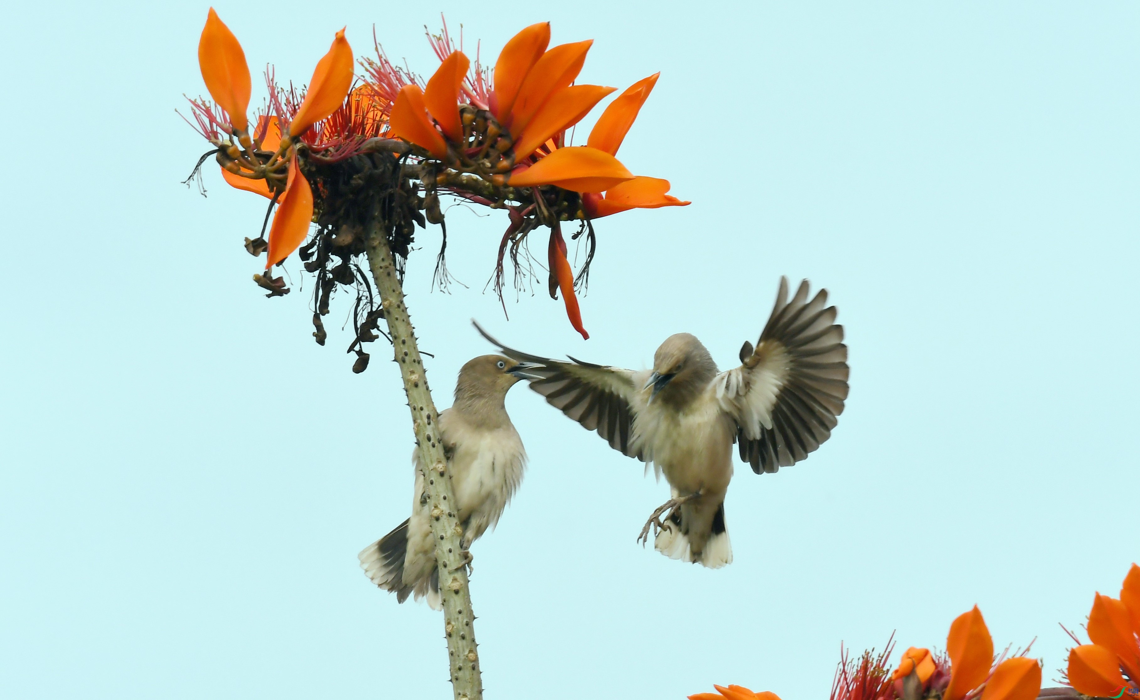 �ұ���� (3).JPG