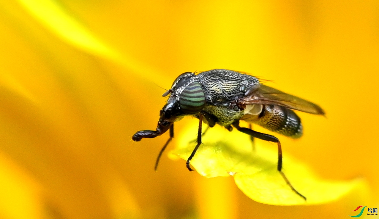 CFH_4241.JPG