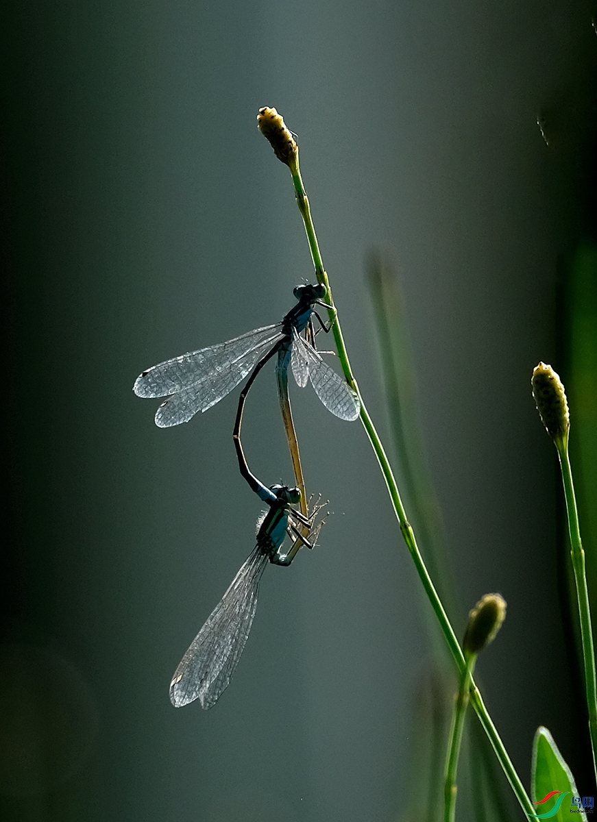 DSCF2612.JPG