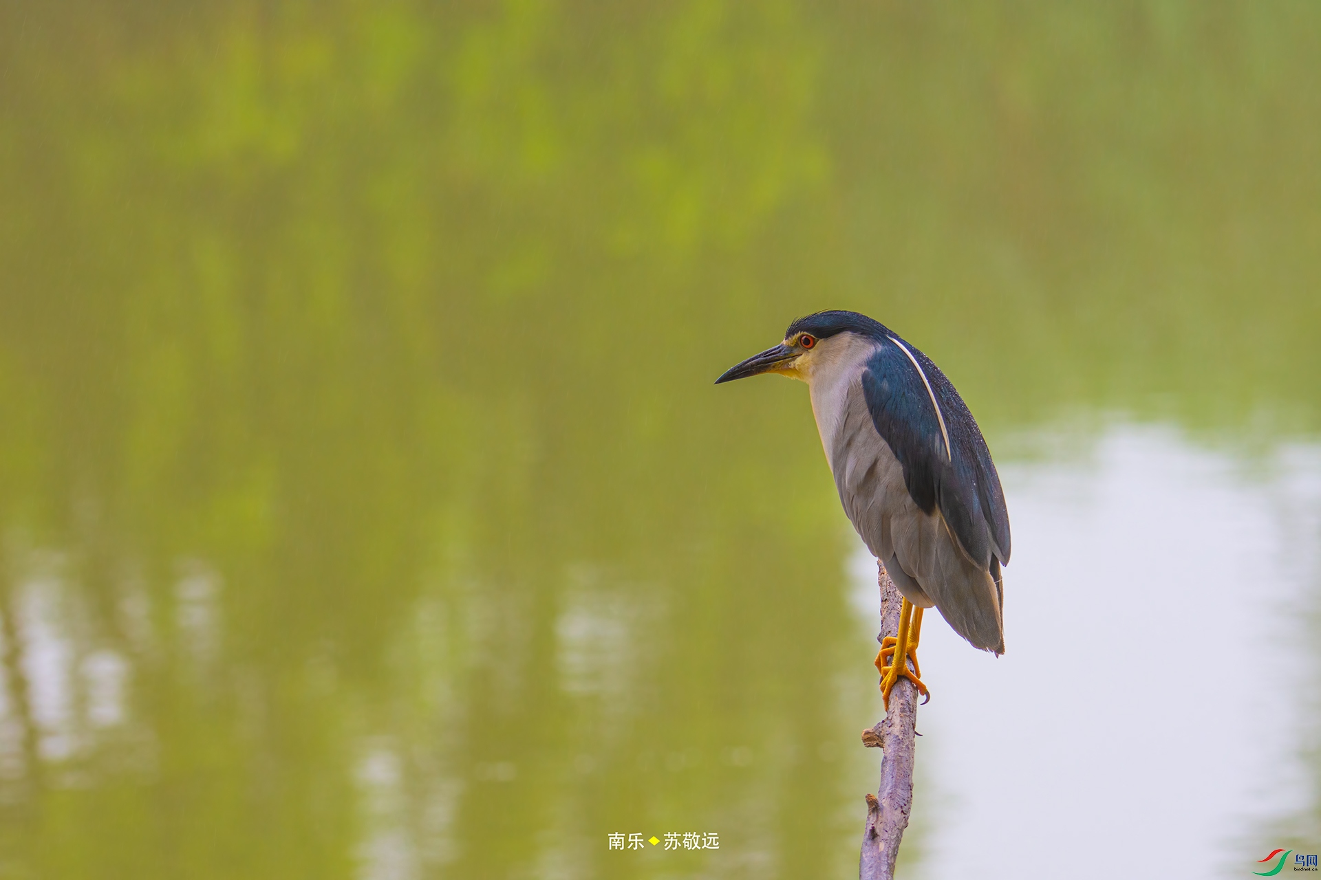 _DSC5345С.jpg