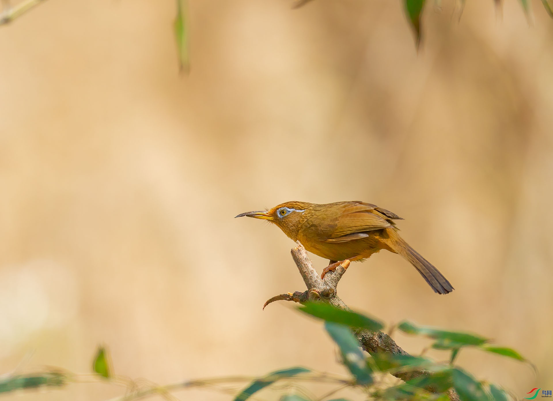 DSC_2798 ����.jpg