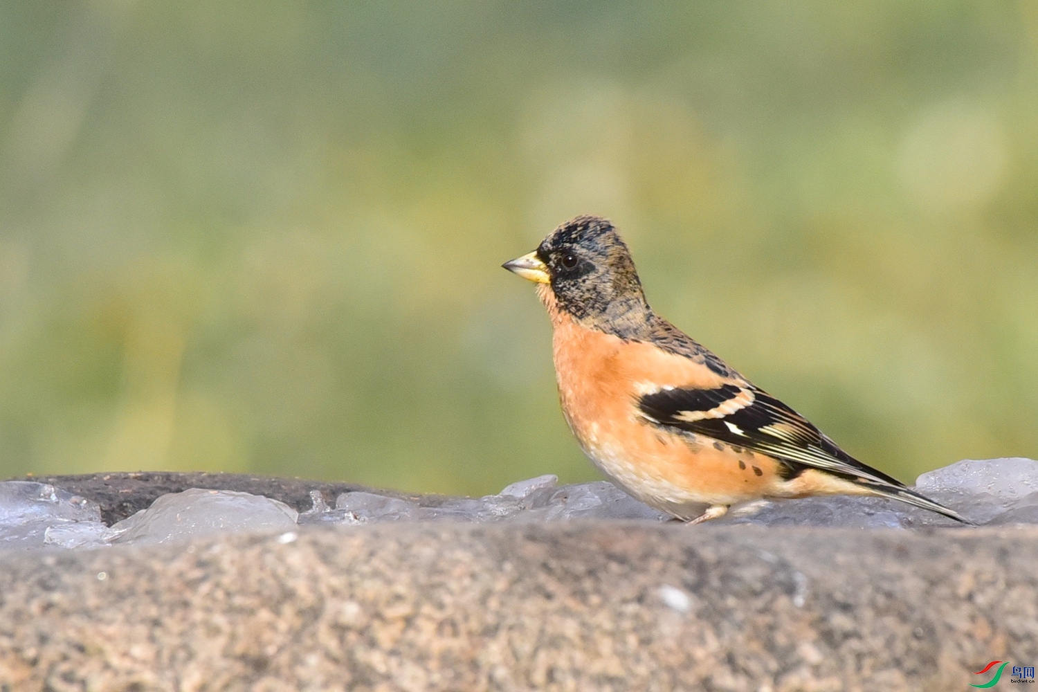 DSC_8677.JPG