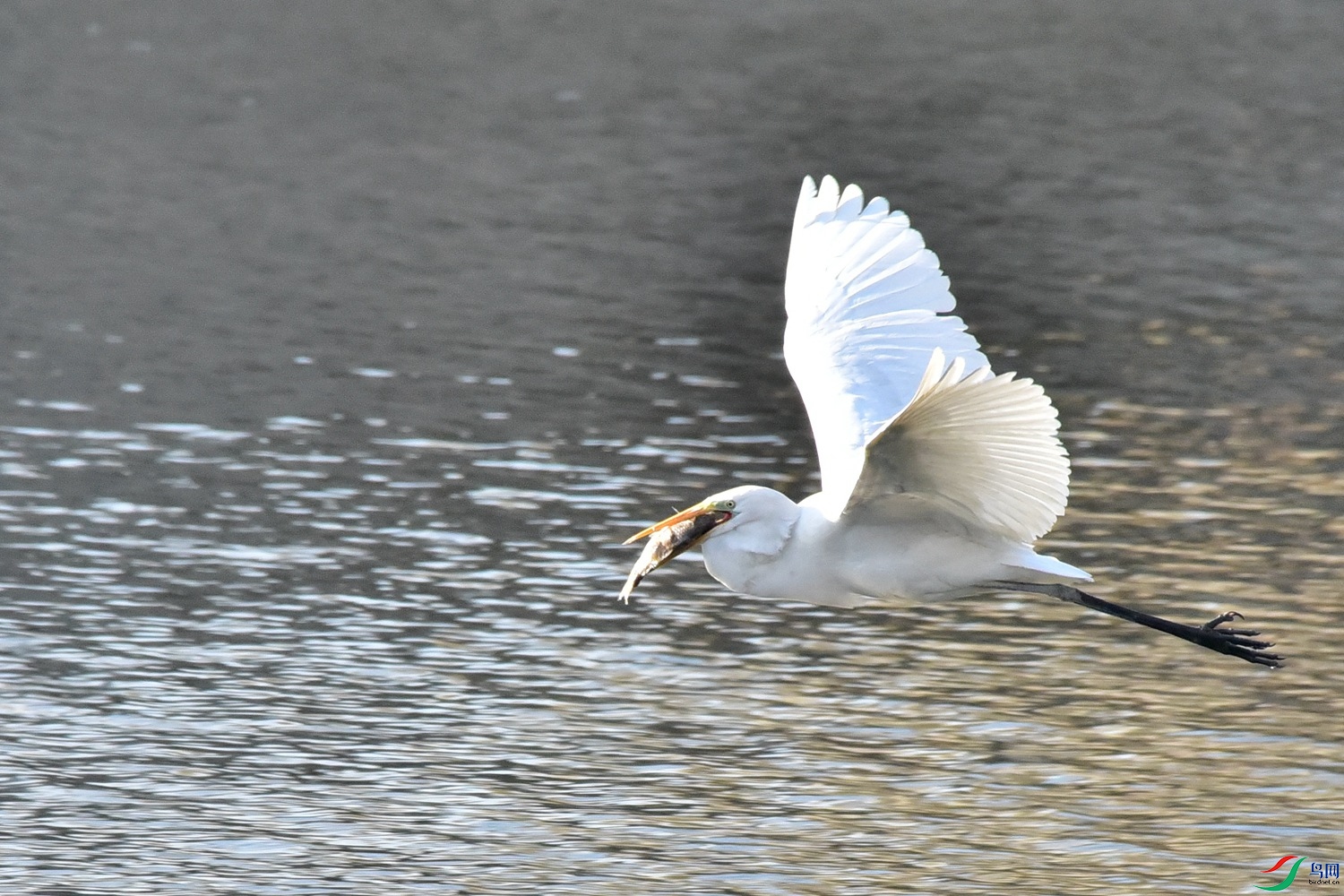 DSC_4883.JPG