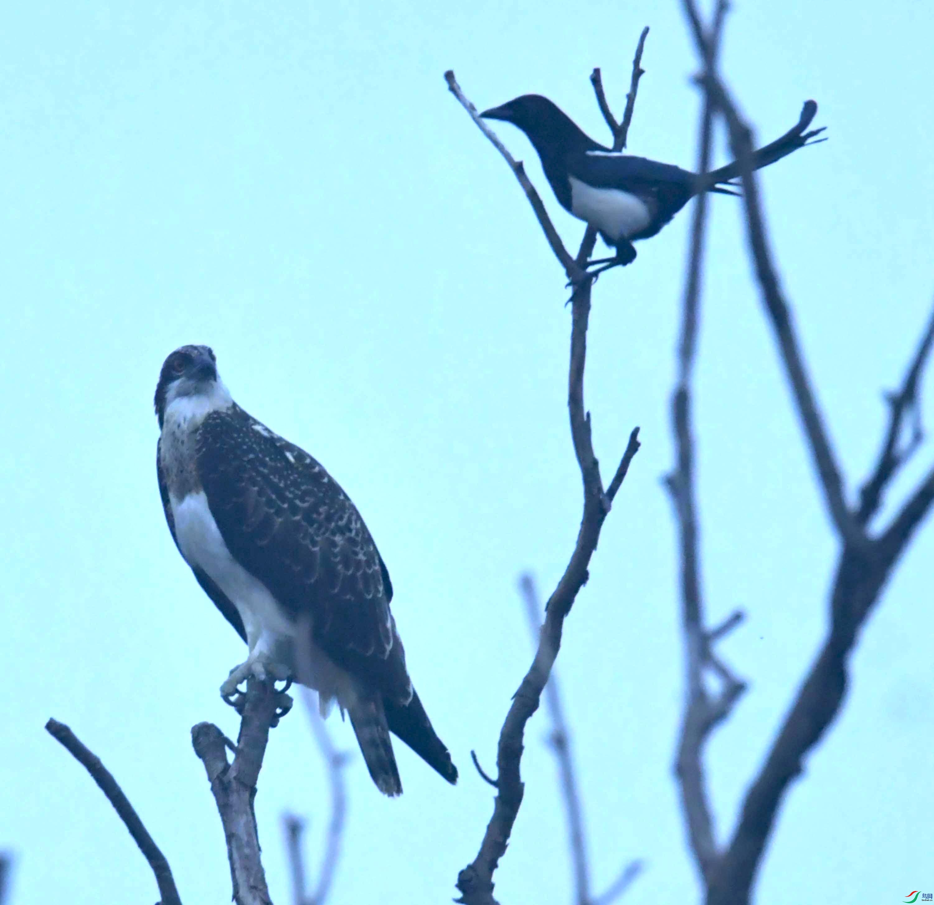 DSC_4235.JPG