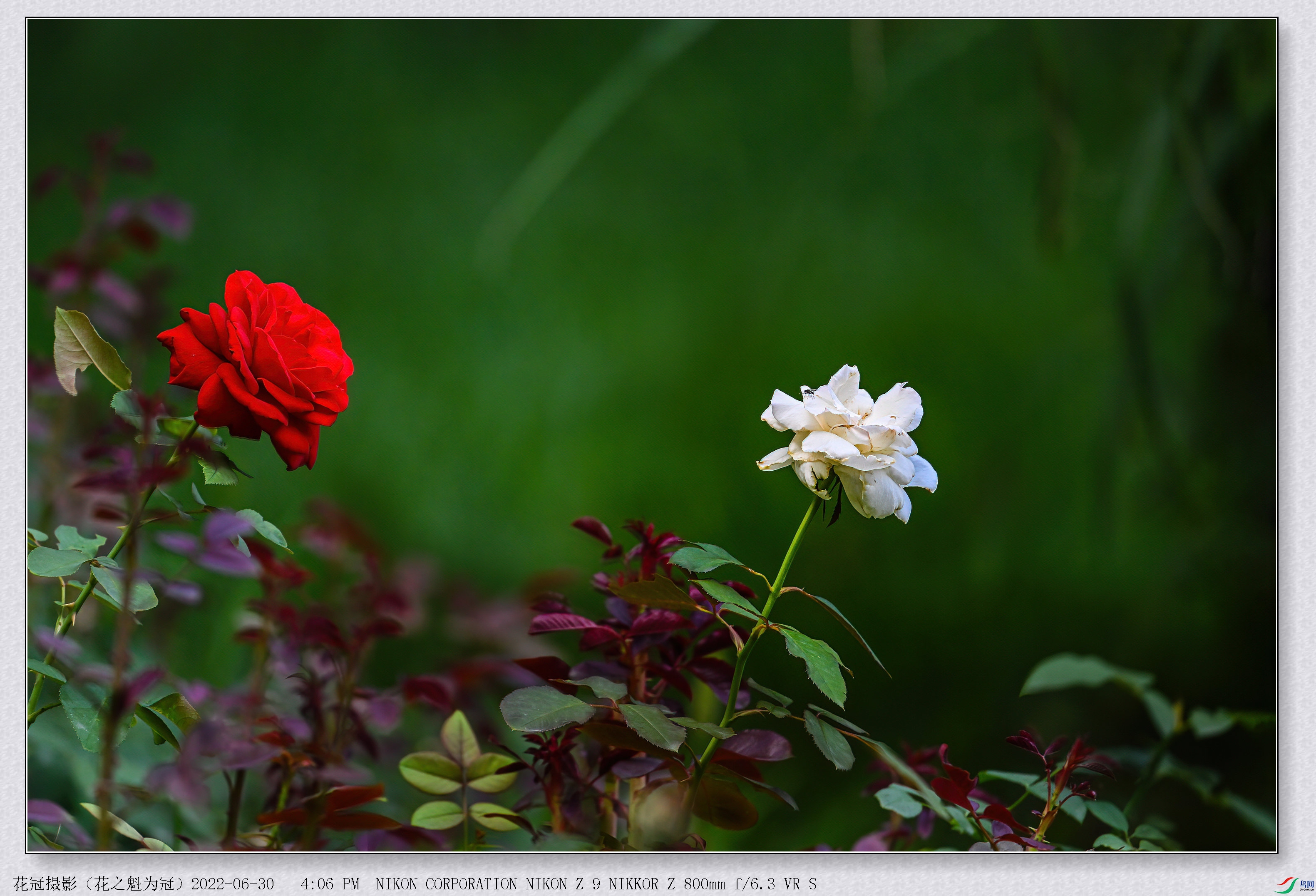 DSC_8084��8117��ջ�ϳ�B-1-DeNoiseAI-low-light_����.jpg